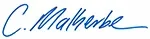 CM-signature